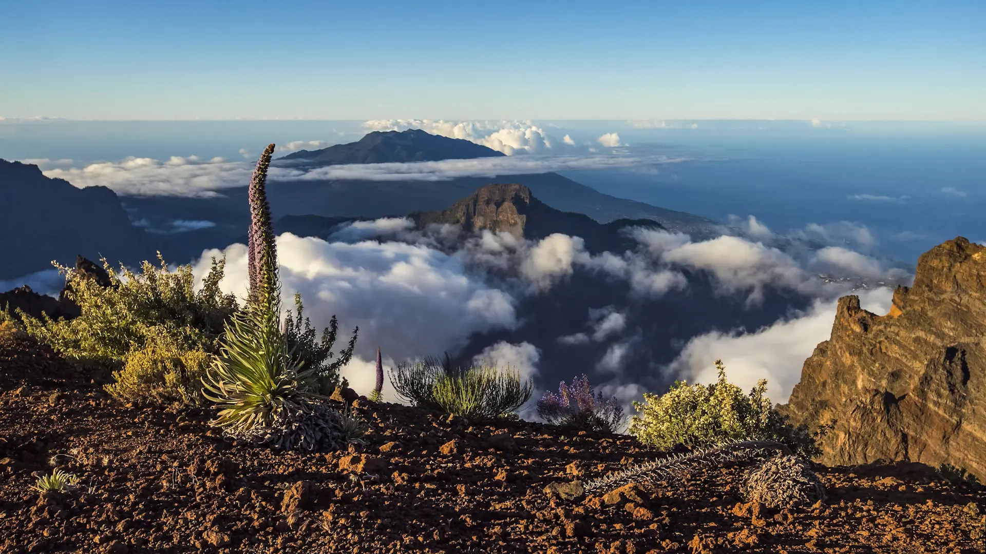 FOTOS SABORES LA PALMA2_1
