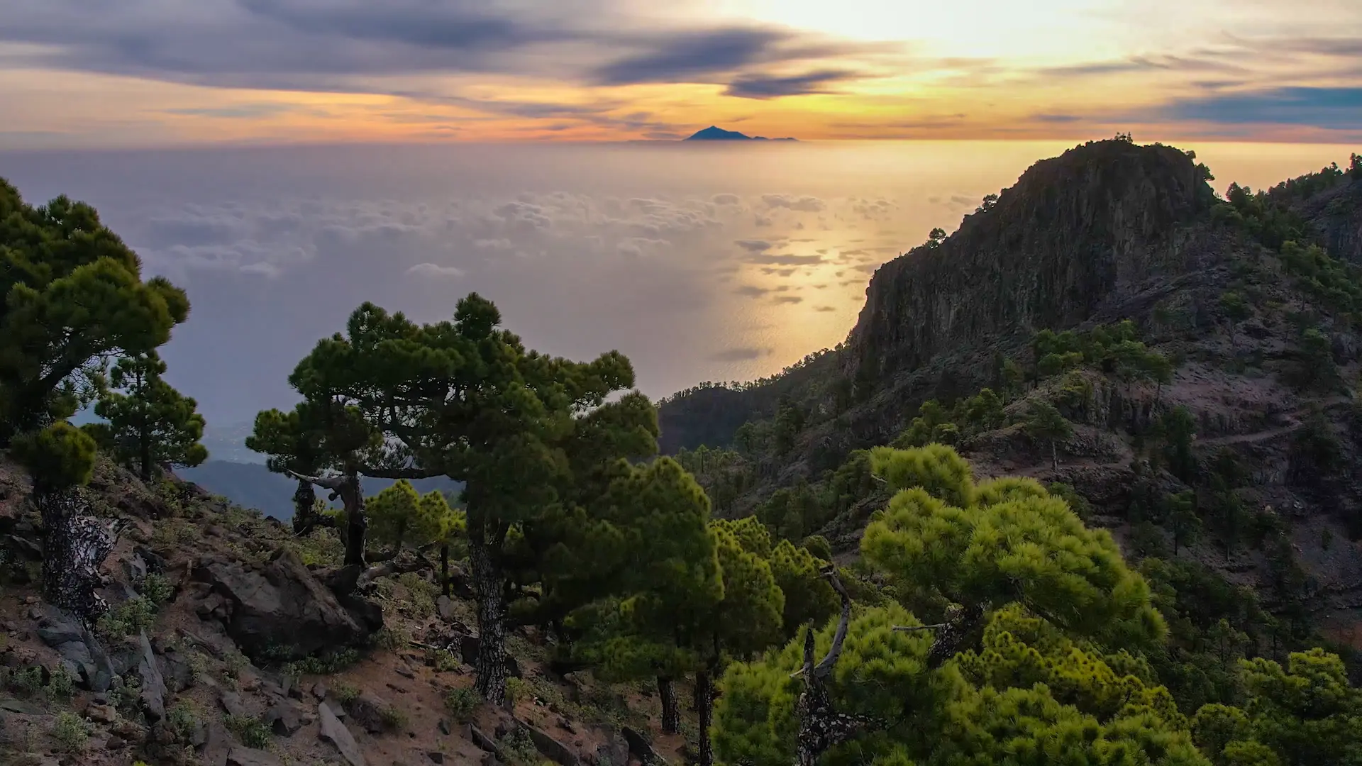 FOTOS SABORES LA PALMA2_2