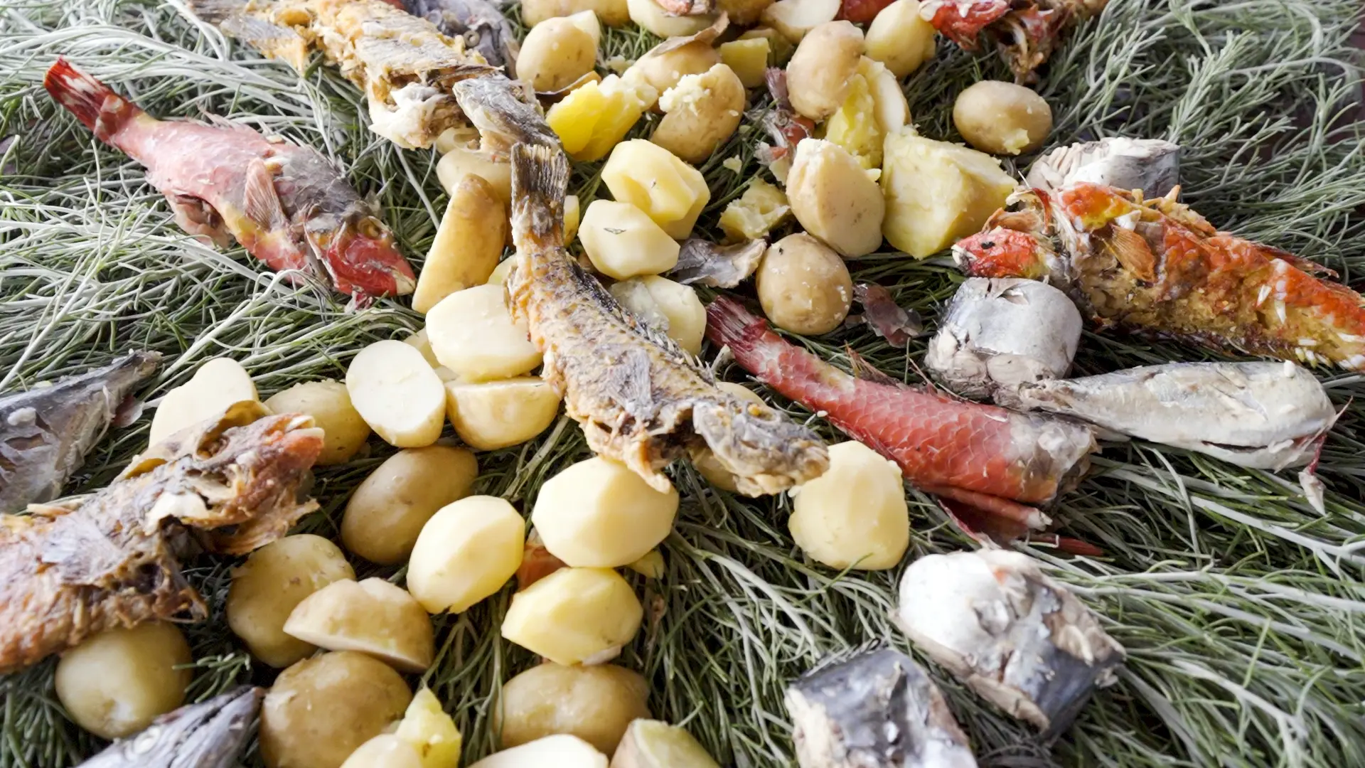 FOTOS SABORES LA PALMA2_27