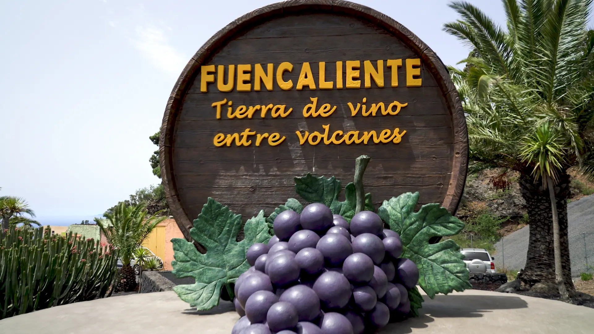 FOTOS SABORES LA PALMA2_3