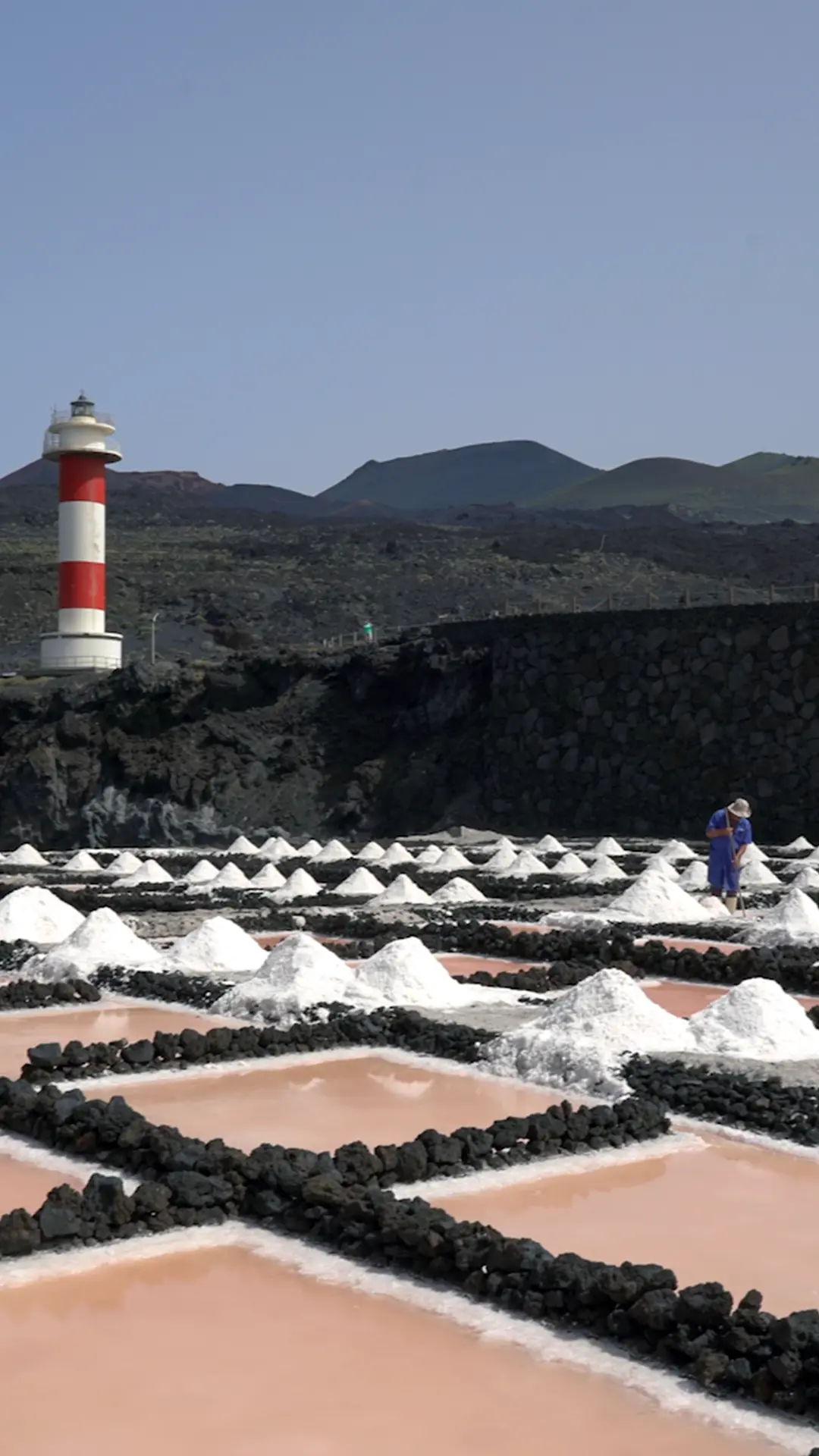 FOTOS SABORES LA PALMA2_4